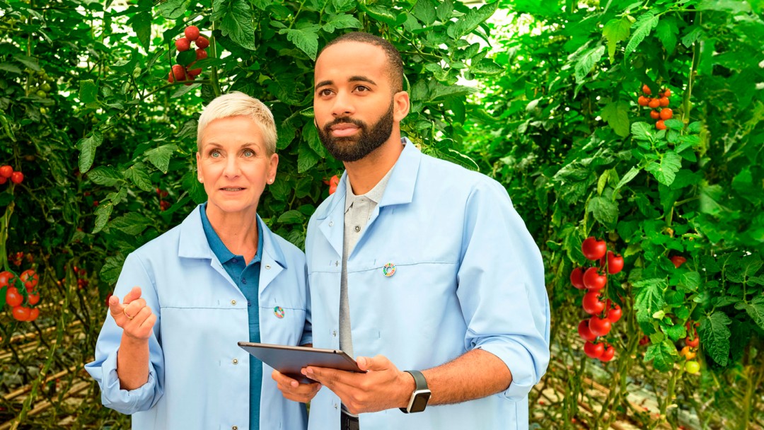 Two people inspecting a green house